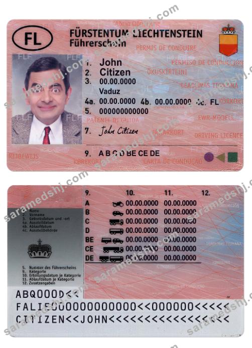 Liechtenstein driving license
